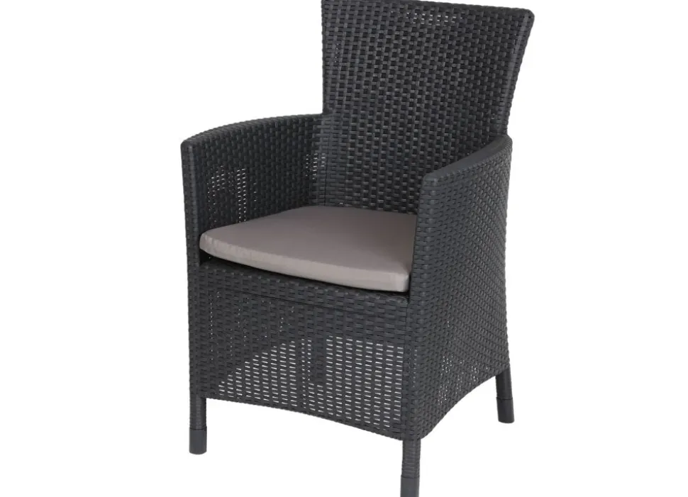 Dining Chair Iowa Graphit Mit Sitzkissen