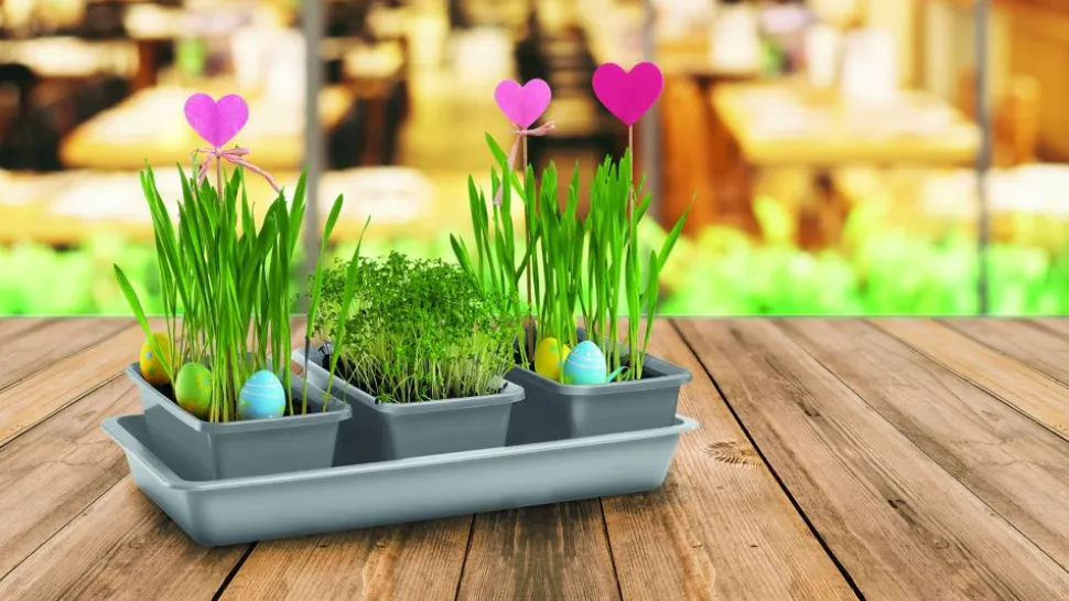 Garten-Set Mit Werkzeug Und Giesbecher