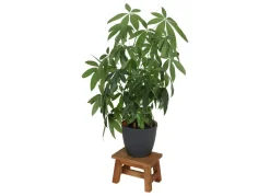 Holz-Hocker Ranch Rustikal 30X20X20Cm Natur