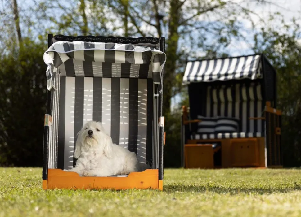 Hundestrandkorb Blau/Weis
