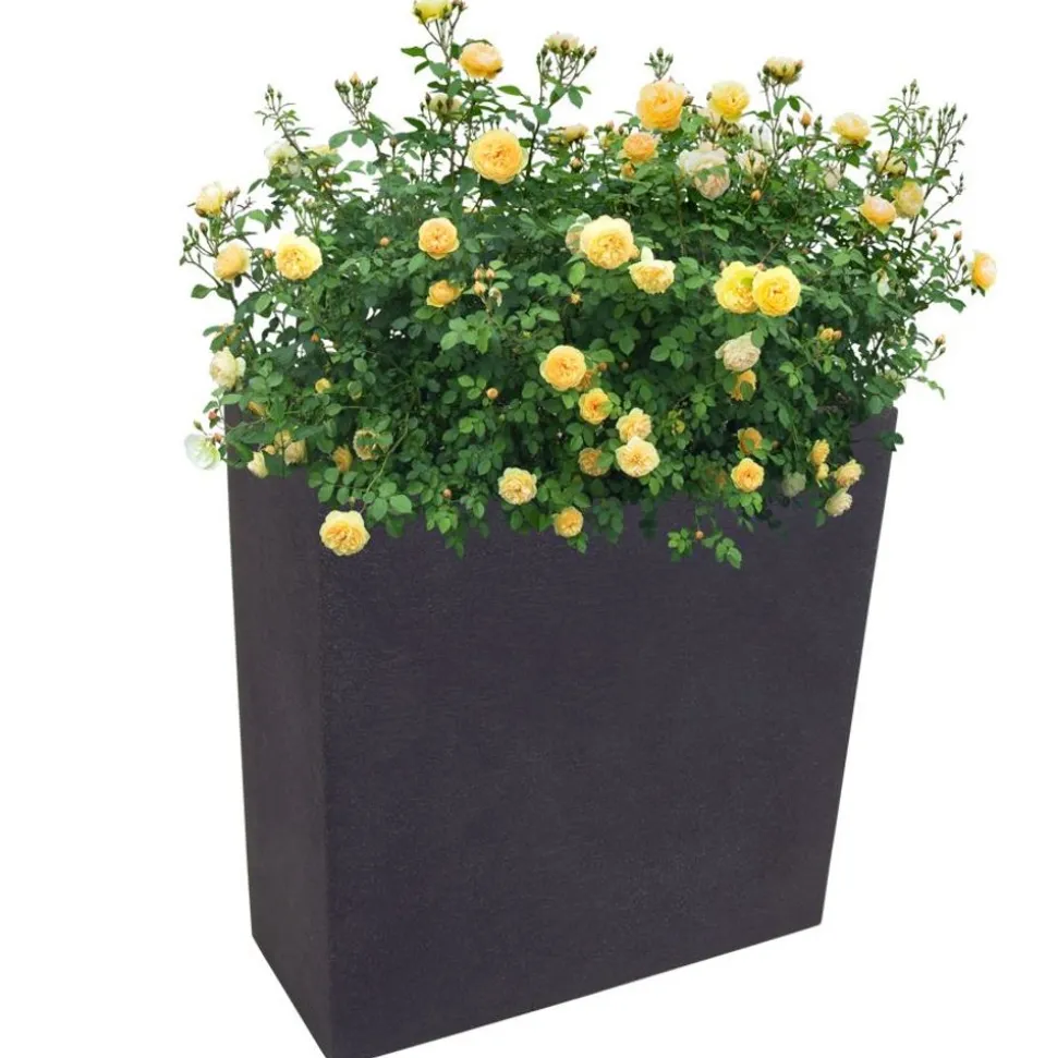 Kubus Pflanzkasten 59,5X26Cm Anthrazit