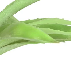 Kunstliche Aloe Vera Im Kunststofftopf 23Cm