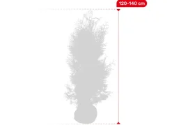 Lebensbaum Thuja Occidentalis Brabant Heckenpflanze 120-140Cm
