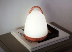 Led-Lampe Mit Griff Und Boden In Holzoptik Outdoor/Indoor 18,5Cm Warmweis