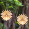 Led-Lampion Stern