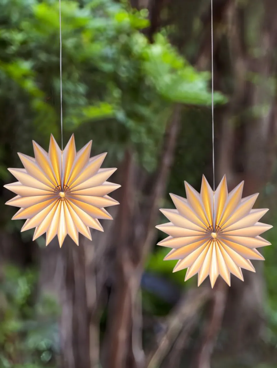 Led-Lampion Stern