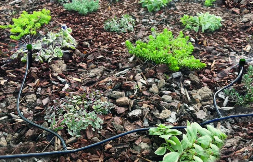 Mini-Bewasserungssystem 14-Teilig