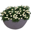Ovaler Pflanztopf Stone 59X34Cm Grau