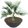 Pflanzschale Misa 65X24Cm Anthrazit