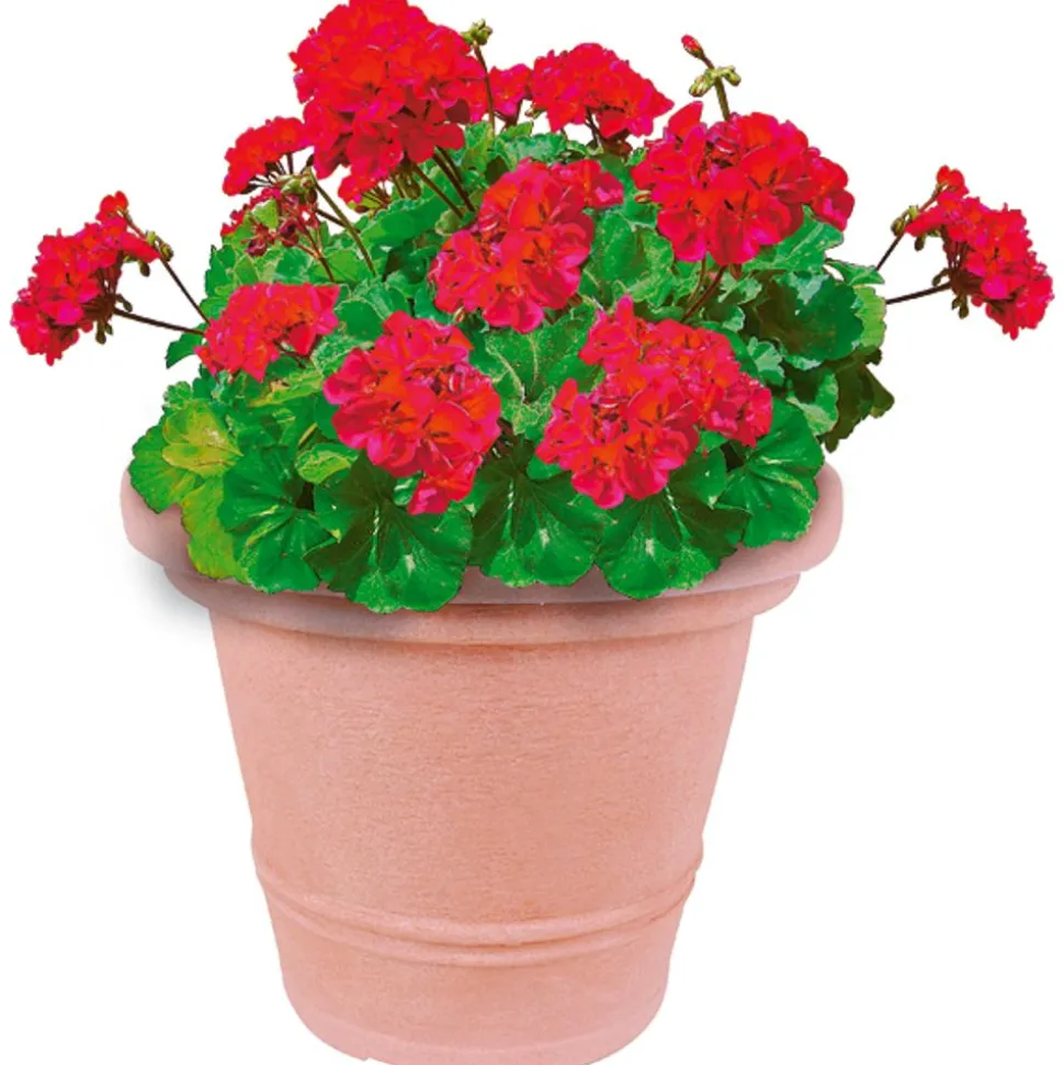 Pflanztopf Siena 34X28Cm Terrakotta