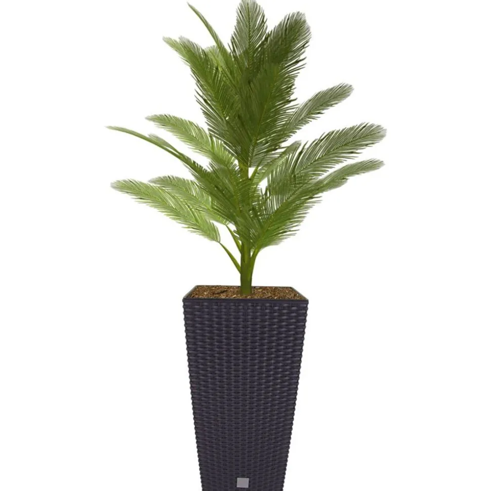 Polyrattan-Pflanztopf Mit Einsatz 26X50,5X26Cm Anthrazit