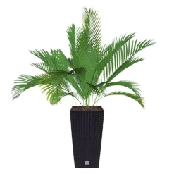 Polyrattan-Pflanztopf Mit Einsatz 22X42X22Cm Anthrazit