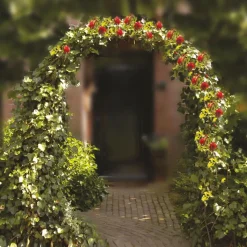 Rosen-Gartenbogen 140X240Cm