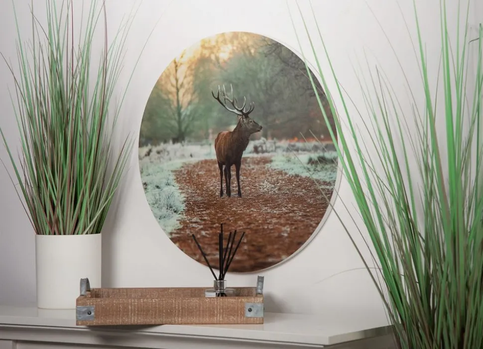 Rundes Wandbild Aus Mdf 58Cm Hirsch Im Wald