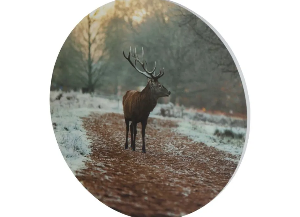 Rundes Wandbild Aus Mdf 58Cm Hirsch Im Wald