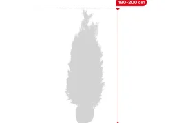 Scheinzypresse Heckenpflanze Chamaecyparis Lawsoniana Columnaris 180-200Cm