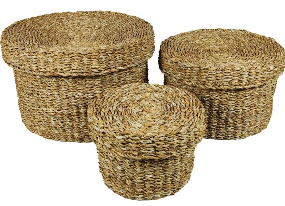 SeegrasKörbe Mit Deckel 3Er-Set