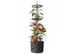 Tomatenpflanztopf Mit Rankhilfe 29Cm Anthrazit