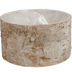 Ubertopf Birkenstamm 16,5X9Cm