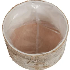 Ubertopf Birkenstamm 16,5X9Cm