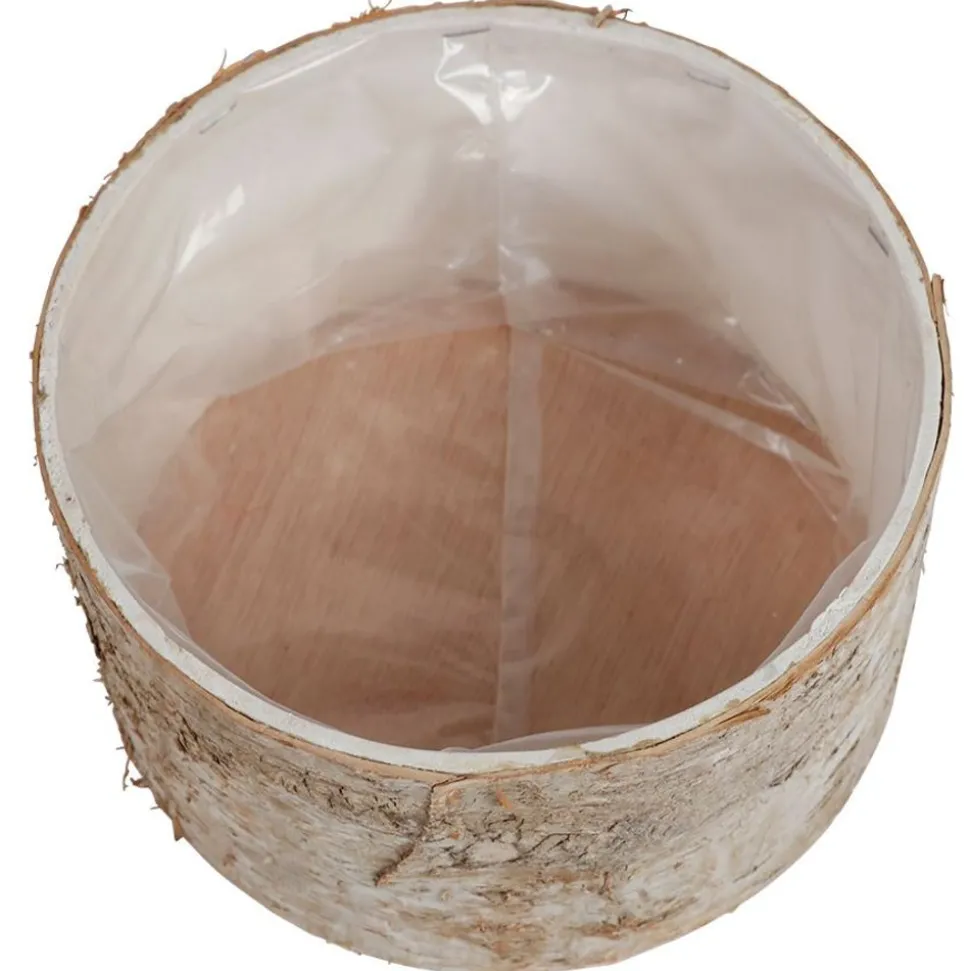 Ubertopf Birkenstamm 16,5X9Cm