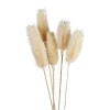 Weise Distel Getrocknet 70Cm 5-Teilig