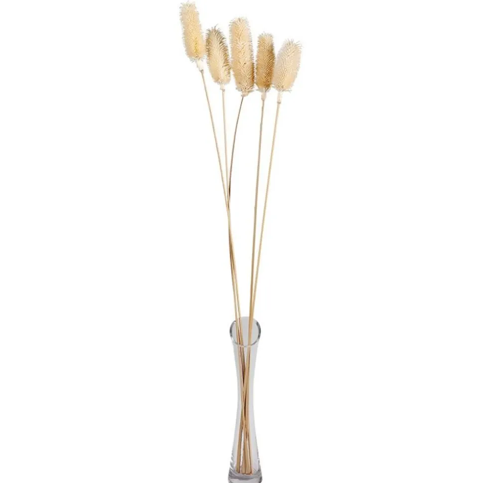 Weise Distel Getrocknet 70Cm 5-Teilig